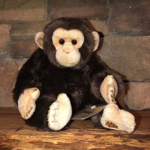 webkinz african chimpanzee